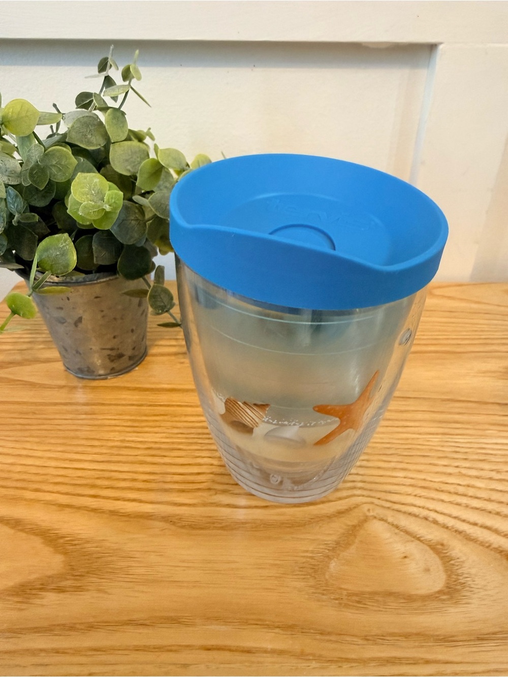 🌿10/$25 • Tervis Shells on the Beach 16 oz Insulated Travel Mug